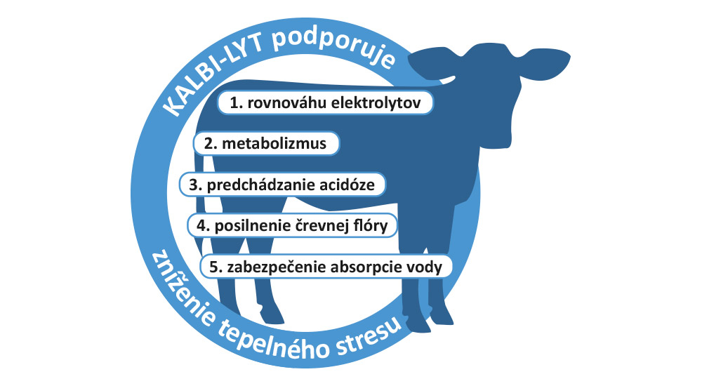 KALBI-LYT vyrovnáva straty potu KALBI-LYT vyrovnáva straty potu